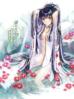 无颜之月-待宵双椿 无颜之月-待宵双椿 下载 PC中文版攻略 封面图